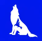 Hawk and Wolf Company Logo